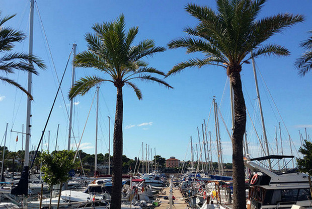 Bavaria Cruiser 50, Llucmajor